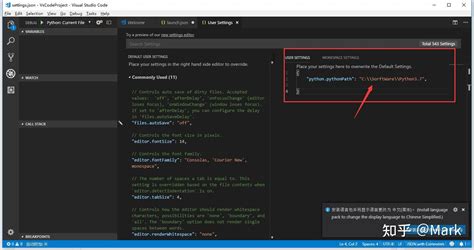 Python Visual Studio Code Tutorial 的图像结果