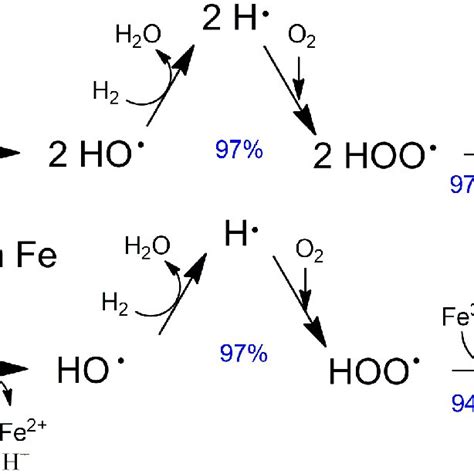 H2O2 H2O2 Reaction Type 的图像结果