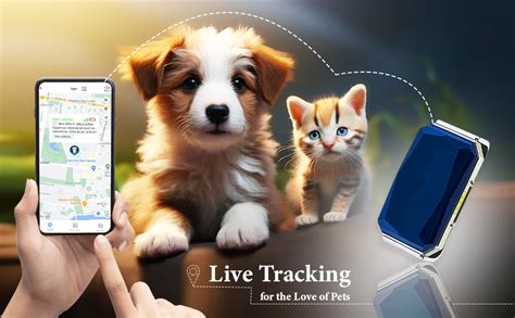 FETACA® GPS Pet Tracker Collar – Belt for Dogs, Adult Cats & Animals ...