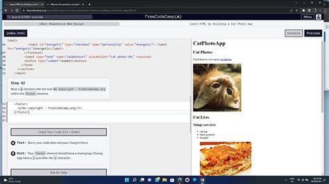 Image result for Step 12 Freecodecamp HTML