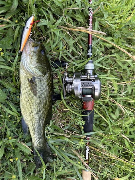 Image result for Java BFS Setup