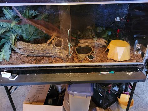 Image result for Python Cage Double Lock