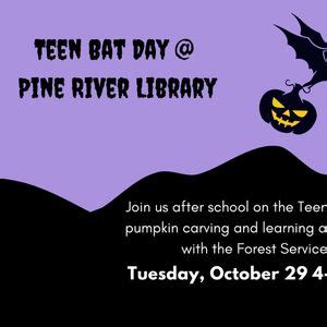 Teen Bat Day @ Pine River Library, 395 Bayfield Center Dr, Bayfield, CO ...