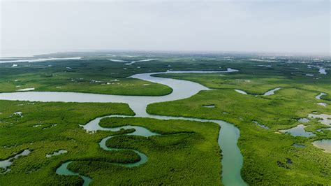 El Amazonas y el Orinoco: guardianes de la biodiversidad : Spanish ...