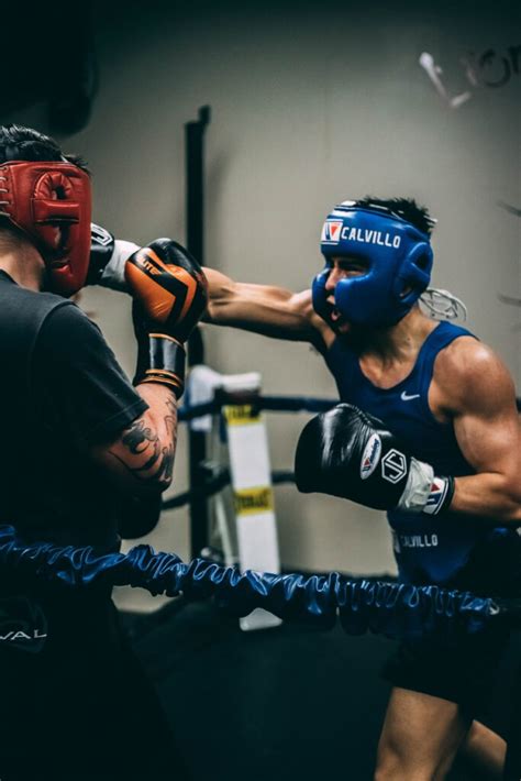 Pro Boxing Sparring 的图像结果