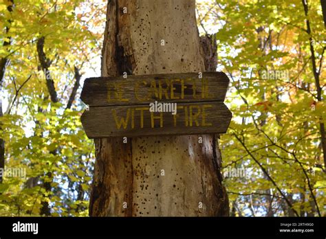 Danger Tree Sign 的图像结果