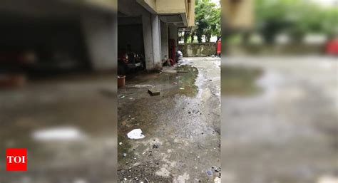 Dengue breeding place - Times of India