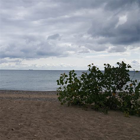 Lakeport State Park Camping | The Dyrt