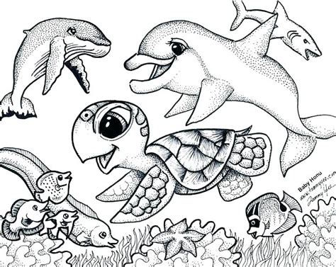 Ocean Animal Color Sheets at tanlangstonblog Blog