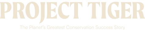 Project Tiger | Nature inFocus