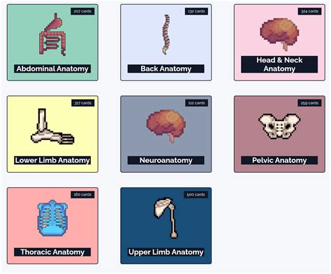 Best Anatomy Flash Cards For Medical Students Gray's Anatomy For