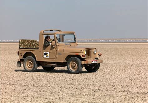 Dasada Images - Vacation Pictures of Dasada, Surendranagar District ...