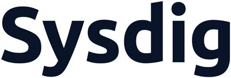 Image result for Sysdig CEO