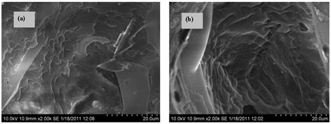 Preparation, Mechanical and Thermal Properties of Cement Board with ...