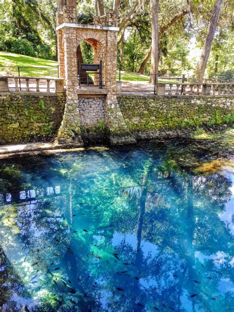 Another Mile Another Destination Blog: Radium Springs Garden, Albany ...