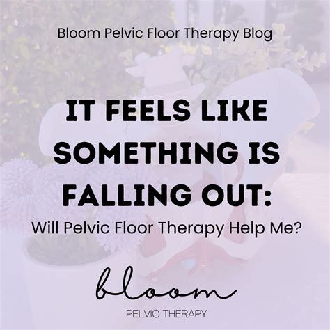 Bloom Pelvic Floor Therapy