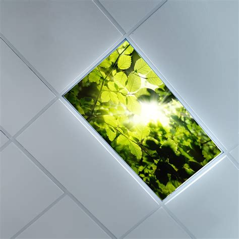 Image result for Parabolic Light Diffuser