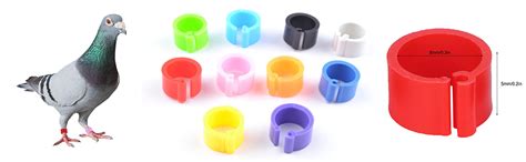 TVEL - Birds Ring - Dove Leg Ring - Bands | Pigeon Leg Plastic Clip ...