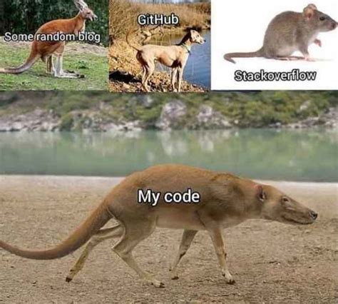 Image result for Le Code Meme