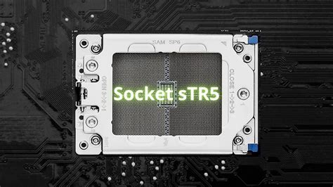 AMD Str5 Motherboard Threadripper 的图像结果