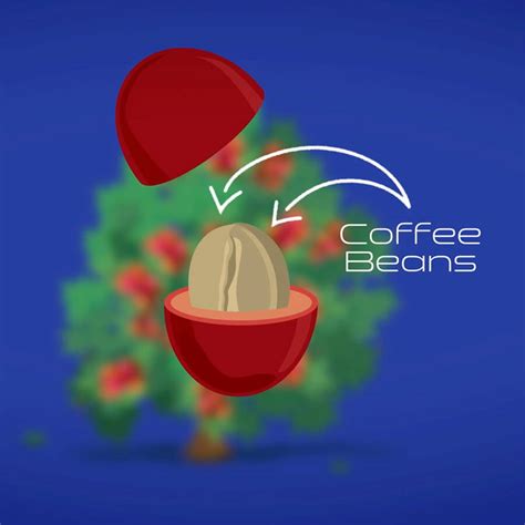 Image result for Explainer Video Production