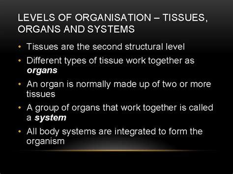 Example of System Structure 的图像结果