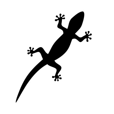 Black And White Lizard Clipart