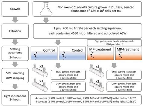 Plastic Accumulation in the Sea Surface Microlayer: An Experiment-Based ...