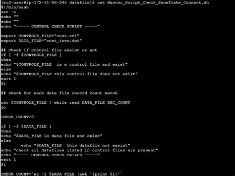 Image result for Snowsql Batch File Example