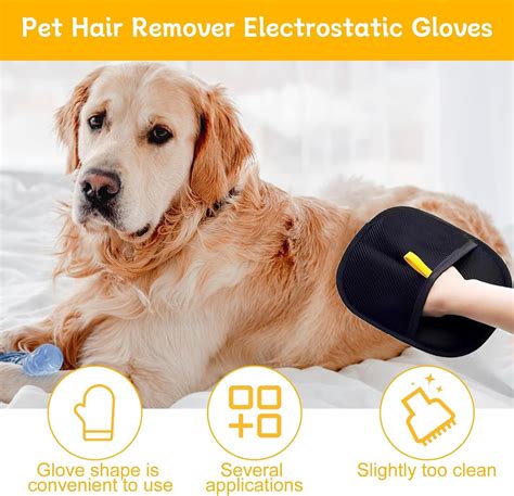 Pet Hair Removal Glove – Paw Luxe