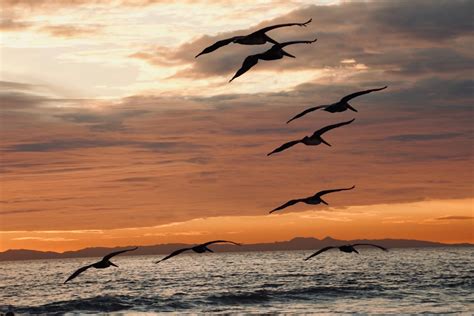 Guide to Beaches near Mystic, CT | Mermaid Inn of Mystic