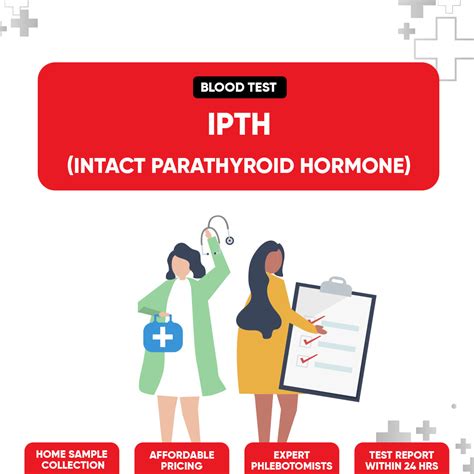 iPTH (Intact Parathyroid Hormone) – Find My Doctor