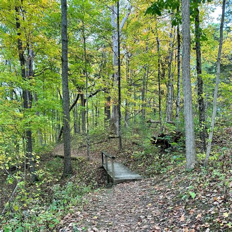 Versailles State Park Campground | Versailles, Indiana