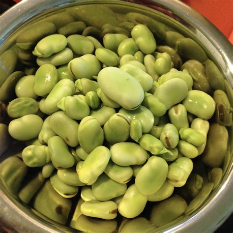 Fresh Fava Bean w Pasta Recipe – Chef Paulette