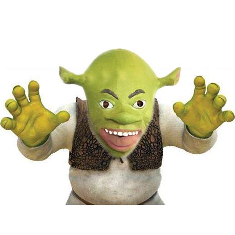 Buy Shrek Cosplay Mask with Gloves Set, Novelty Rubber Mask and Gloves ...