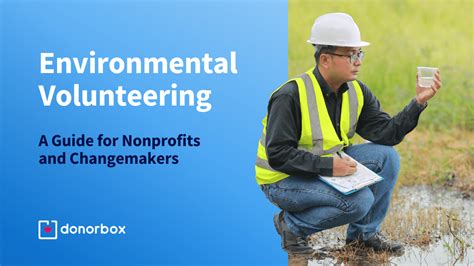 Volunteering 的图像结果