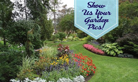 BORDINE'S OF ROCHESTER HILLS - Rochester Hills MI - Hours, Directions, Reviews - Loc8NearMe