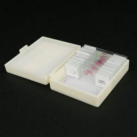 Microscope Slides - Permanent Slides for various tissues Manufacturer ...