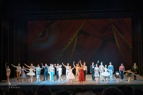 Russian Ballet Icons 的图像结果