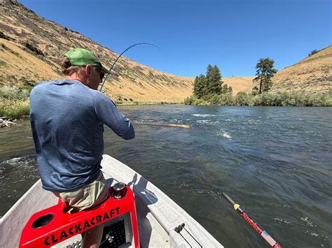 Yakima River Fishing Report — Red's Fly Shop