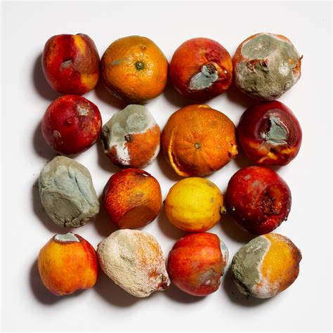 How Dangerous Is Mold On Fruit