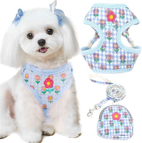 Cute Small Dog Harness and Leash Set with Bag No Pull Puppy Cat Vest ...