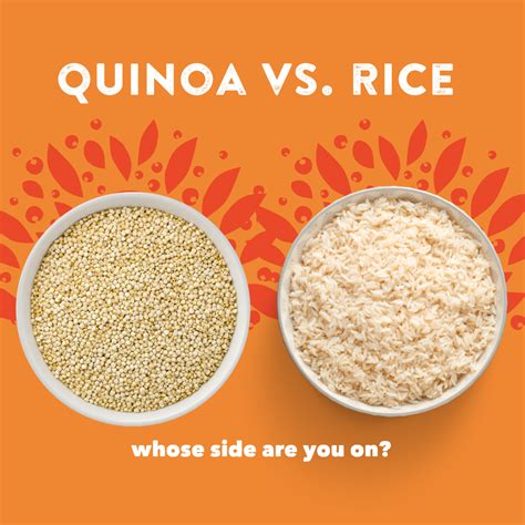 Is quinoa better than rice? – Quinola