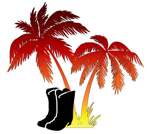 Cowboy Line Dancing Tutorial 的图像结果