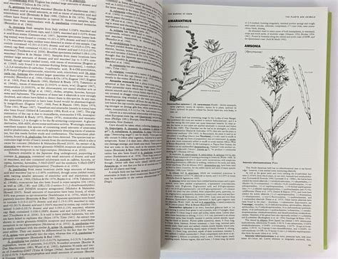 Garden of Eden: The Shamanic Use of Psychoactive Flora and Fauna, and the Study of Consciousness ...