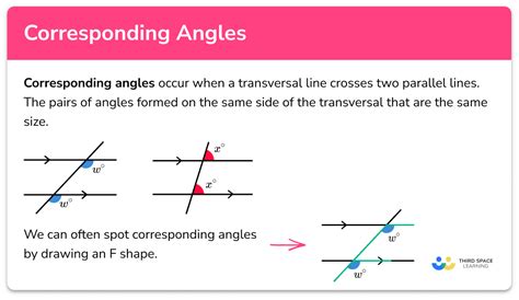 Image result for Different Types of Angles Corresponding