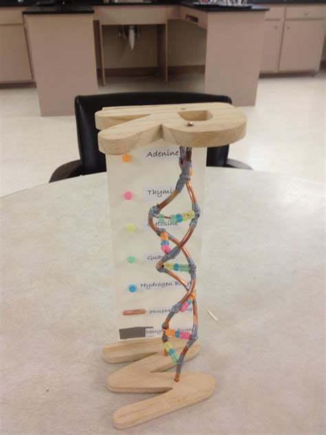 DNA Model Tutorial 的图像结果