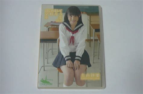 Image result for Projects Progress Computer