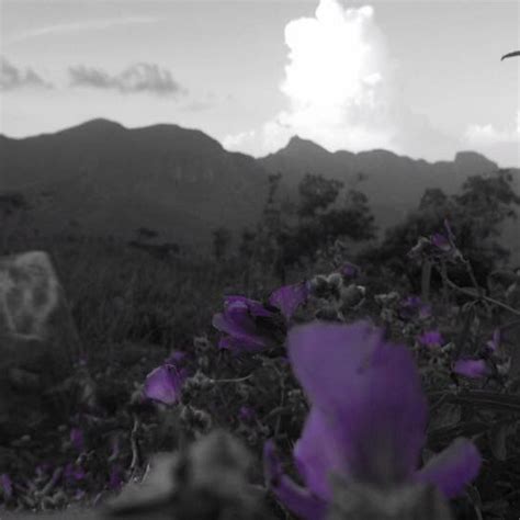 MEEMURE ISABULANA RESORT - Resort Reviews, Photos, Rate Comparison ...