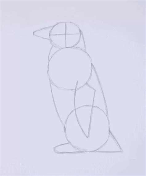 Image result for Step by Step Drawing Penguin